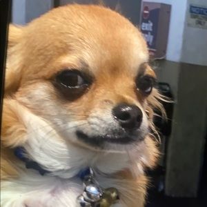 Meet your Posher, Mary grace